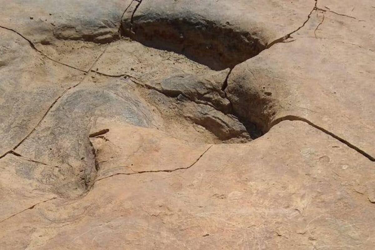 ¡Indignante! Dañan huellas de dinosaurio en Fronteras que tienen más de 72 millones de años