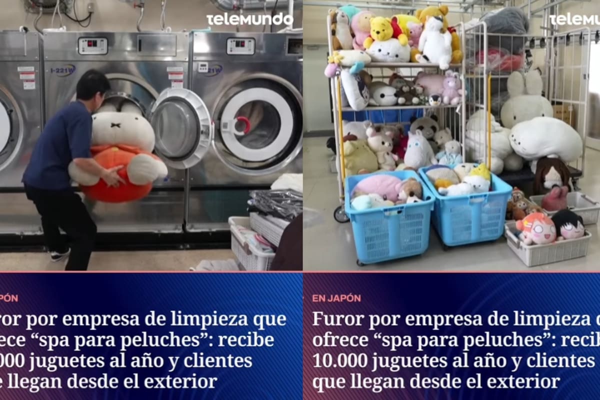 “Es un spa de peluches”: empresa de limpieza de peluches viejos se vuelve viral; todos quieren mandar los suyos