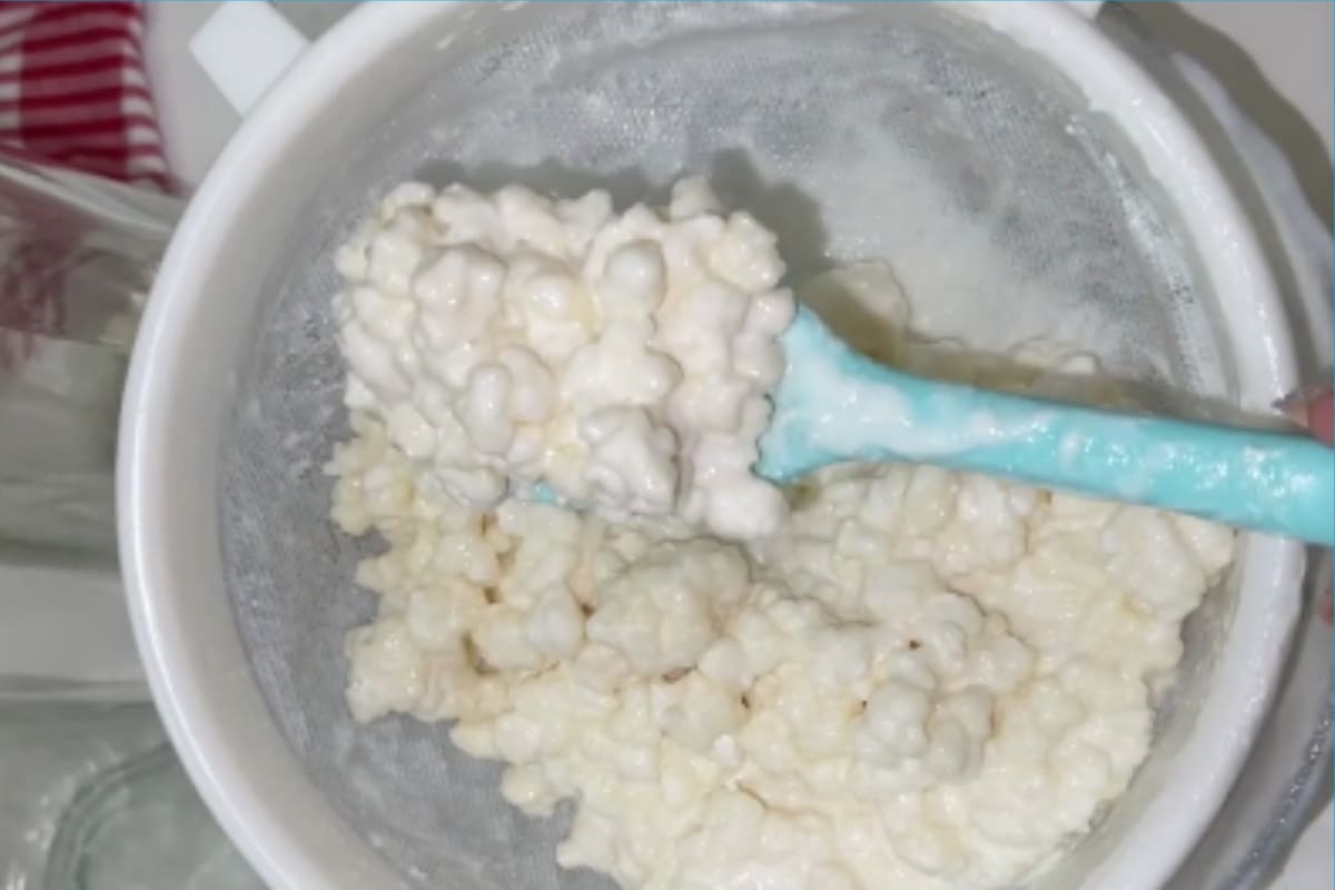 ¿Qué son los búlgaros de leche y para qué sirven? Esto es lo que debes saber