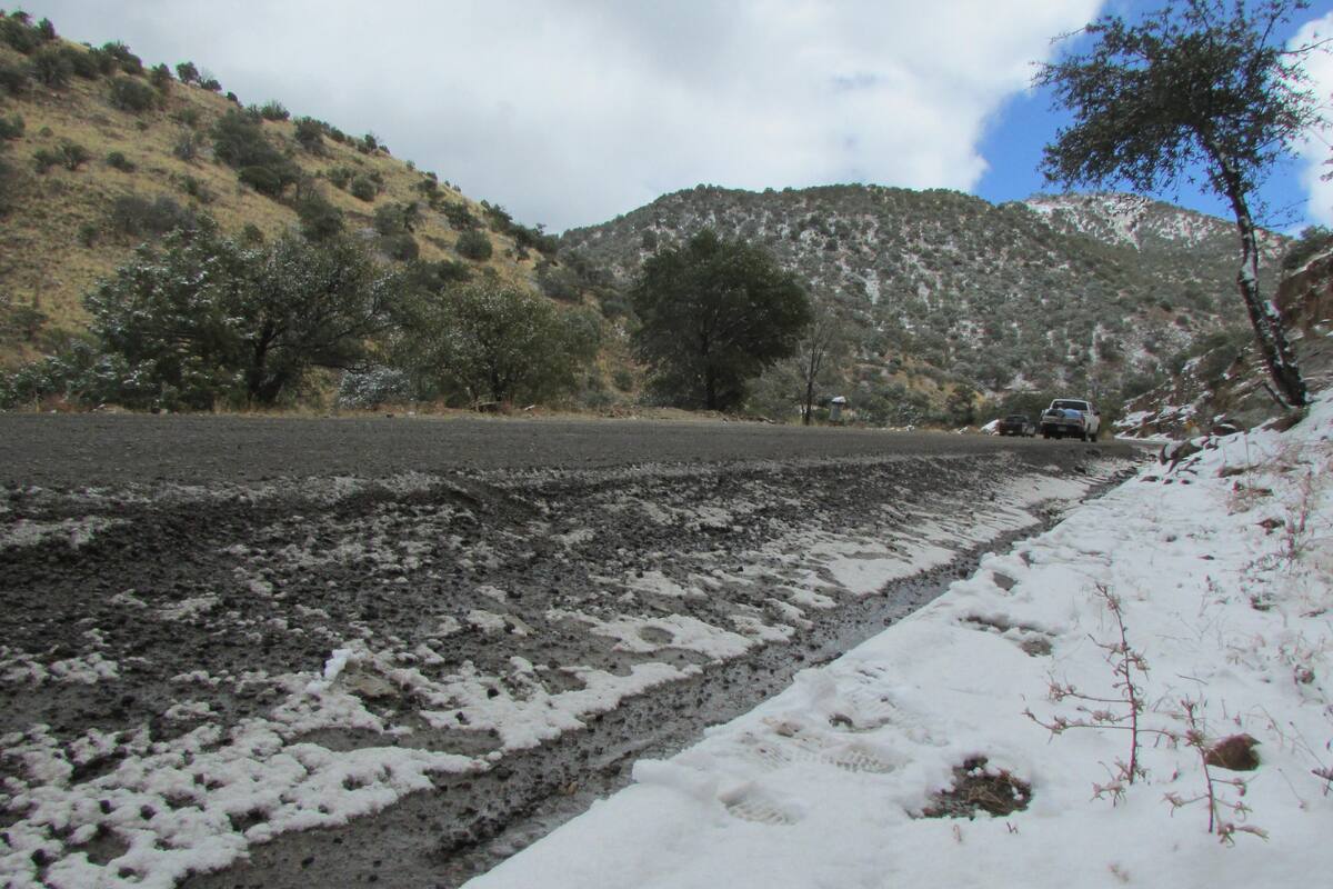 Servicio Meteorológico Nacional pronostica clima frío en gran parte de México, incluyendo Sonora