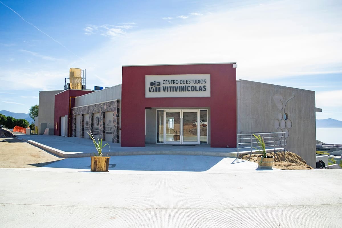 Inicia maestría en vitivinicultura y negocios en el Cevit