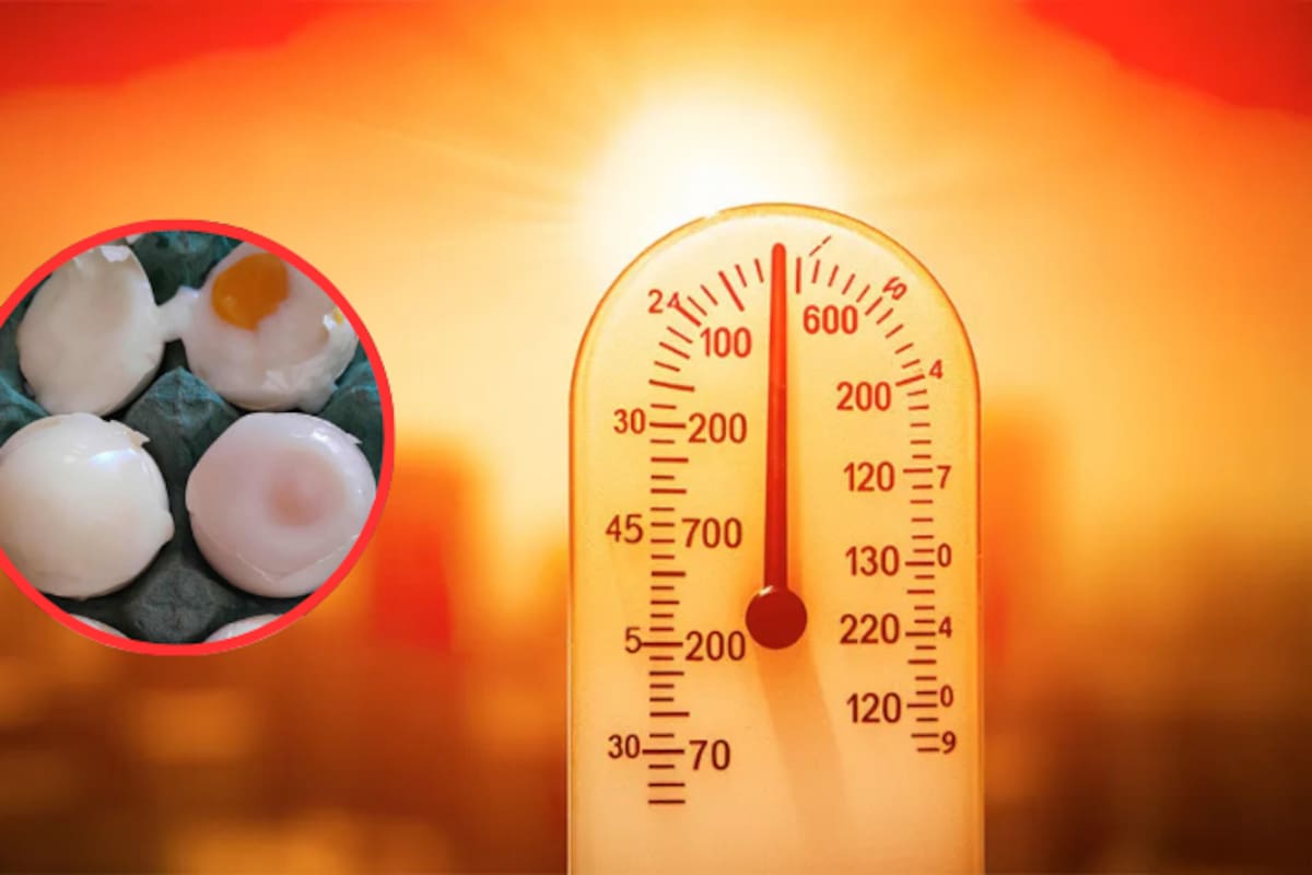Hermosillo alcanza los 46.5°C: Protección Civil alerta sobre riesgos de golpe de calor