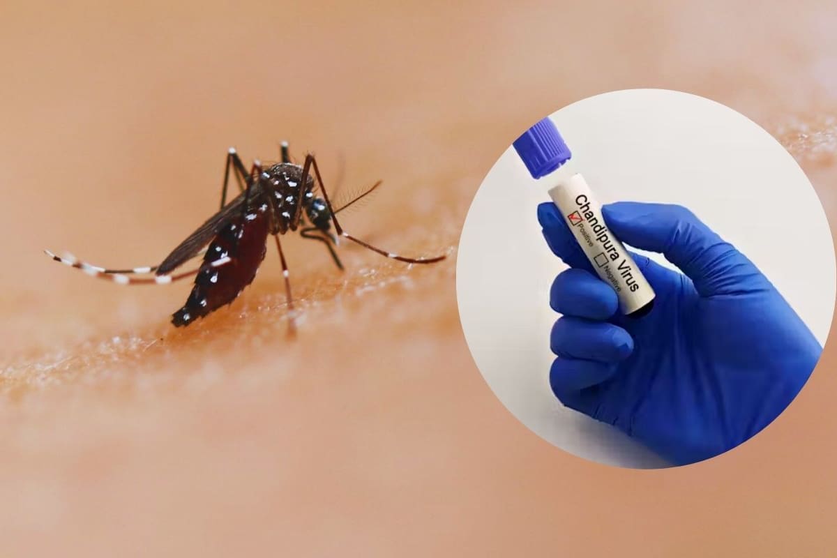Alerta en la India por virus mortal ‘Chandipura’: ¿Qué es y cuáles son sus síntomas?