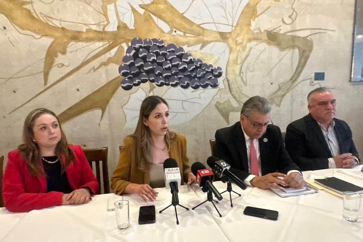 Abogados llaman a legisladores a parar ley de amparo