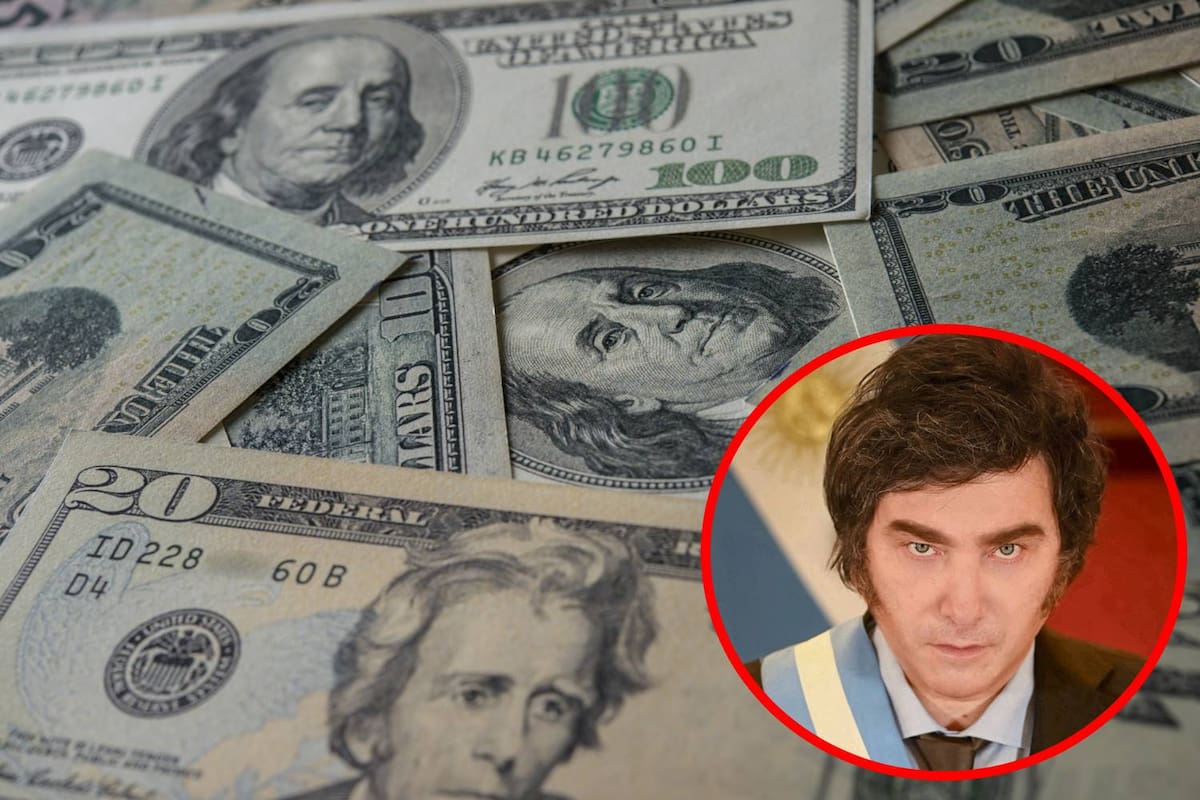 Por estas razones el dólar alcanza nuevo récord histórico en Argentina