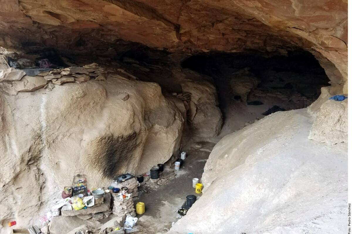 Rescatan a 21 hombres de narcocueva en Chihuahua; los usaban para sembrar droga
