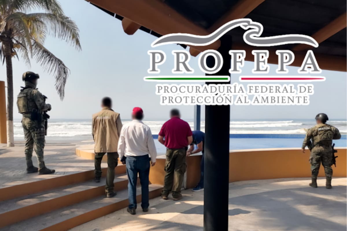 Profepa clausura 31 obras ilegales en ecosistemas costeros: detectan rellenos, construcciones y ocupaciones sin permiso en 14 estados