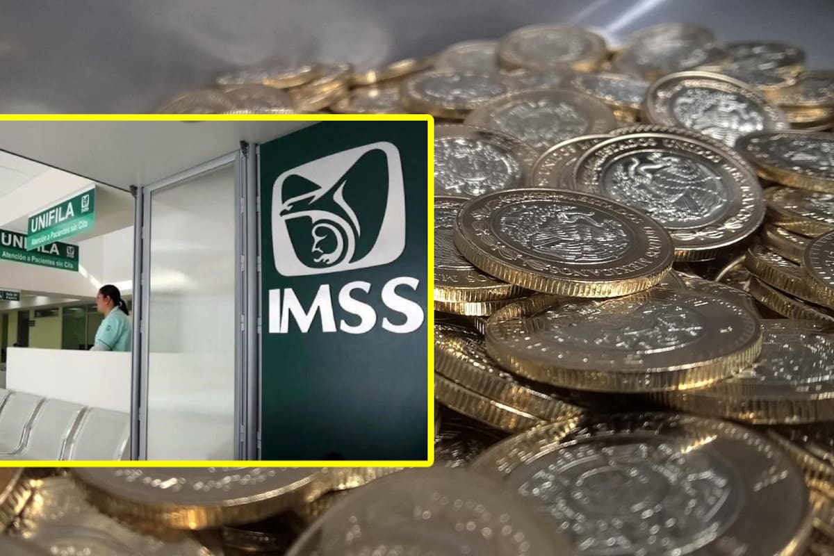Qué hacer si cotizaste en el IMSS y tienes tiempo dado de baja