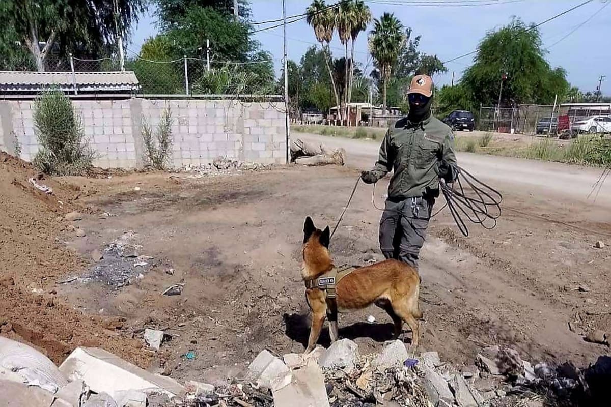 Reanudan búsqueda por caso de desaparición de “El Relajo”