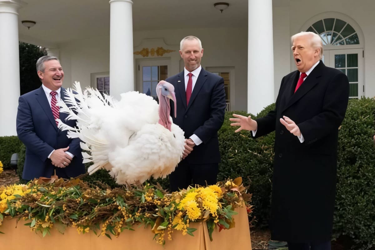 ¿Por qué el presidente de Estados Unidos les perdona la vida a dos pavos cada Acción de Gracias?