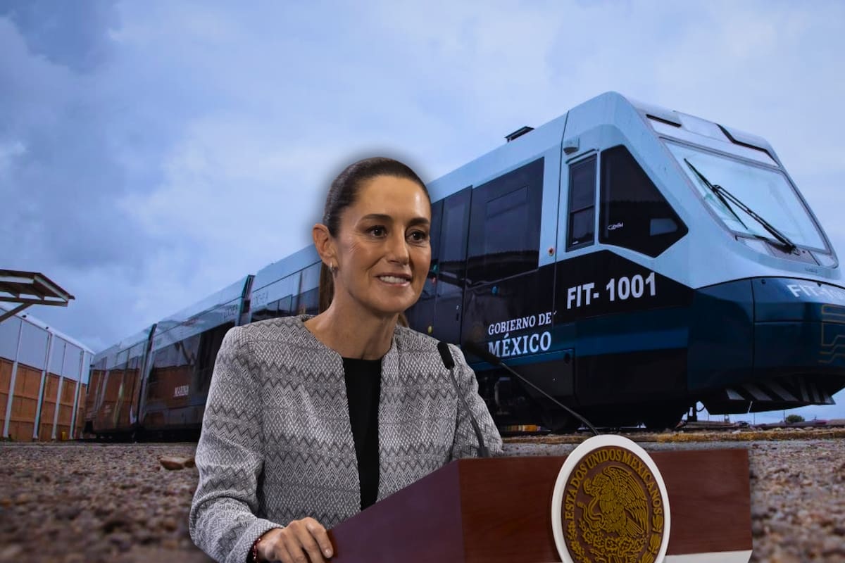 Tras perder más de la mitad de pasajeros, el Tren Interoceánico amplió sus viajes por vacaciones de verano: ¿Por qué expertos dicen que sería mejor como interurbano y no como turístico?