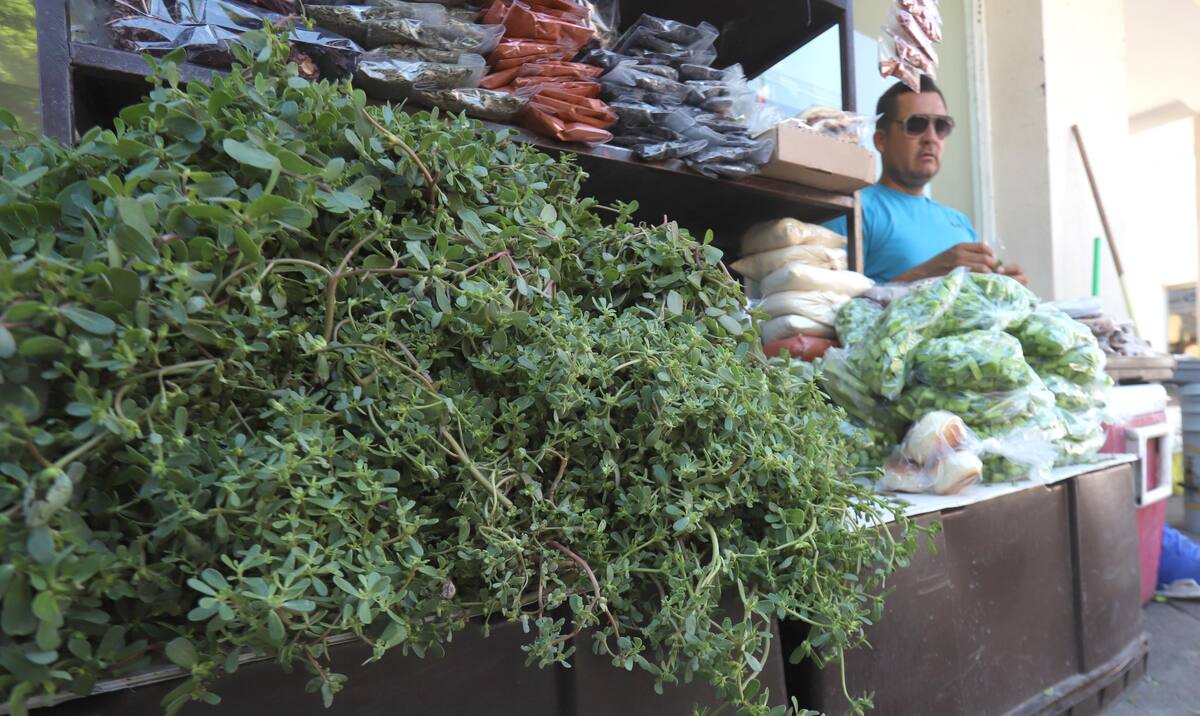 Jesús Figueroa Romero, de 41 años, tiene ya dos décadas de trabajar en la venta de productos sonorenses.