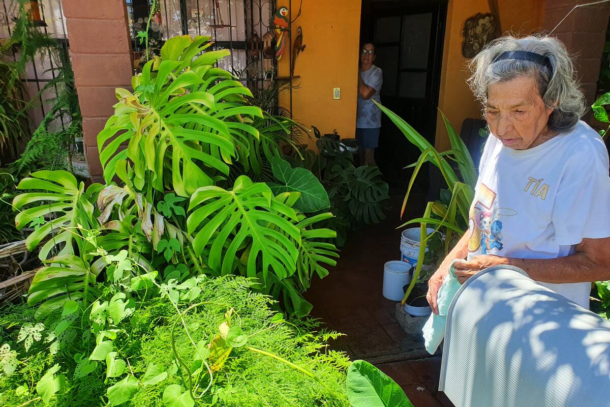 Evangelina cuida y riega su jardín a sus 89 años