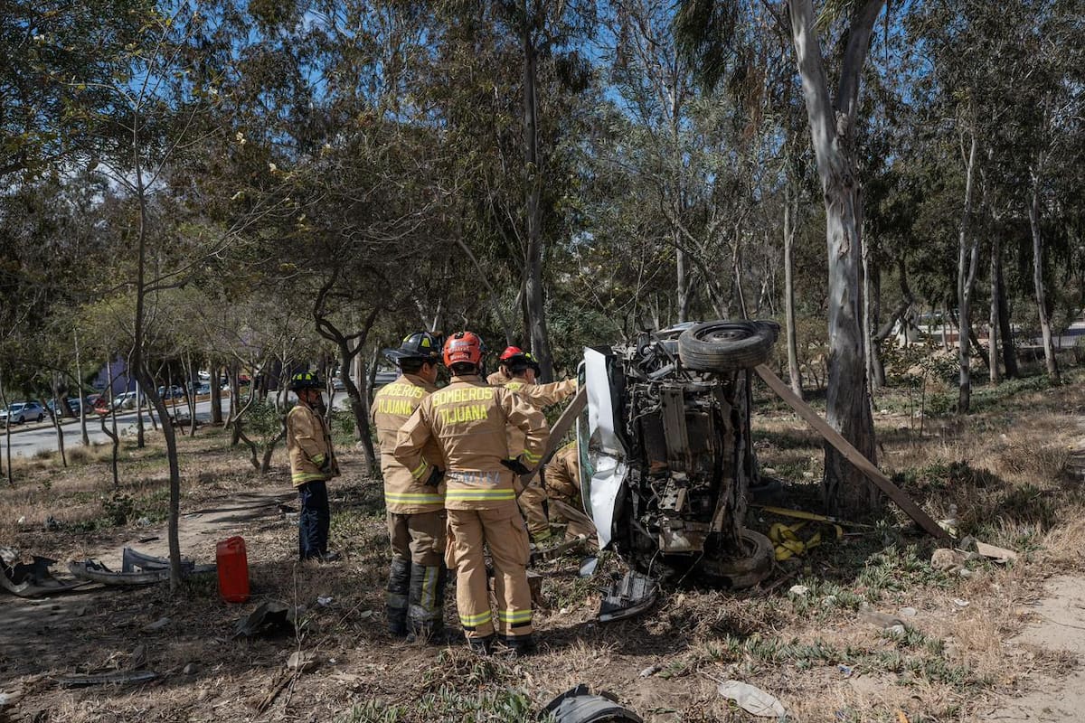 Auto vuelca en la Avenida Internacional y derriba un árbol; conductor abandona la unidad