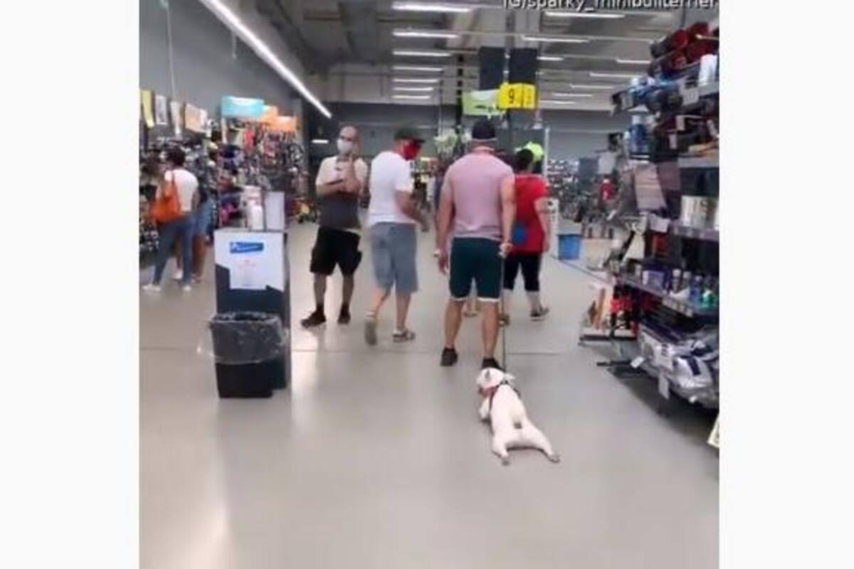 Perro no quiere caminar en el supermercado y roba la atención de la gente