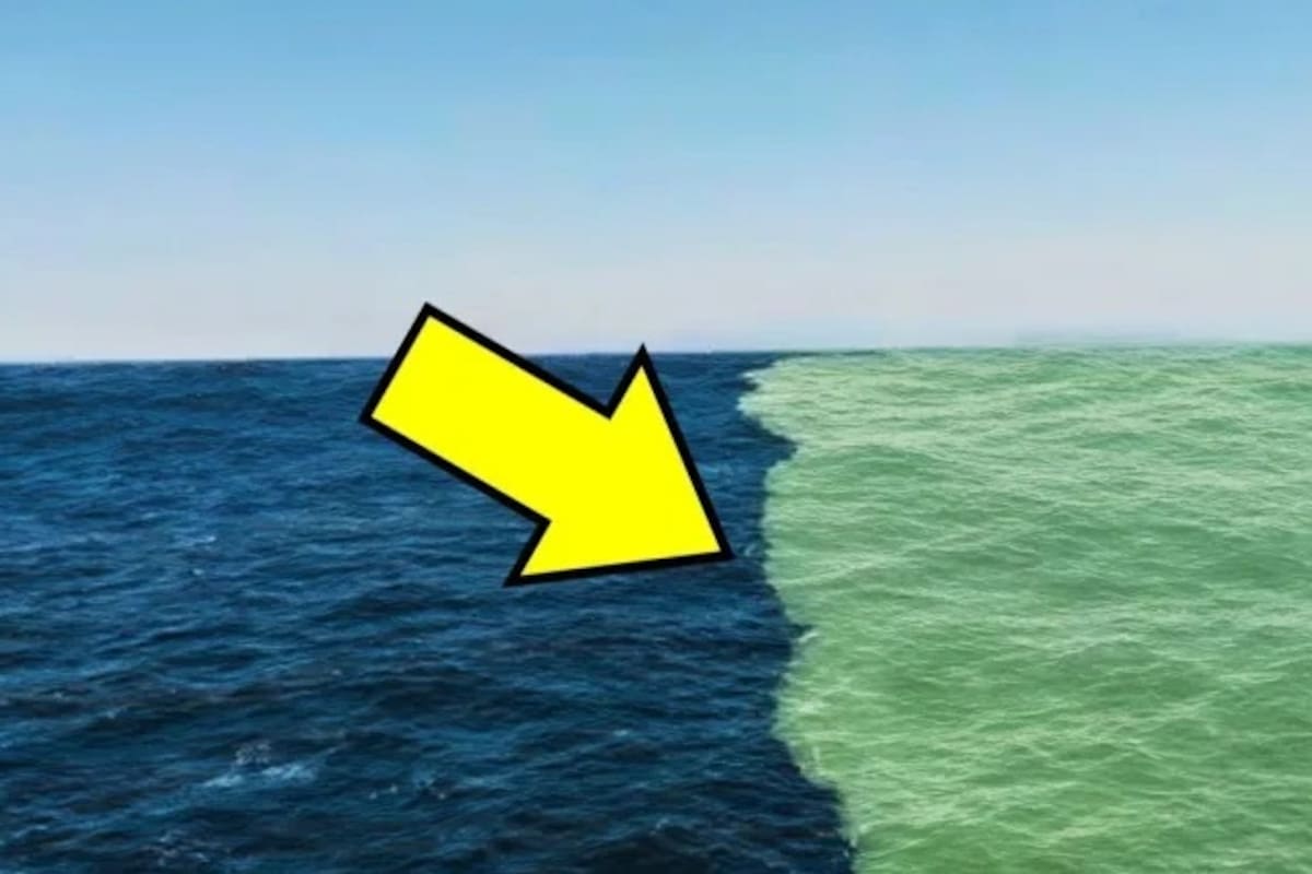 Por qué los océanos parecen no mezclarse en esta imagen real