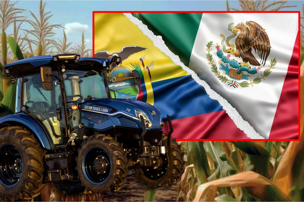 Estos son los productos mexicanos que pagarán más impuestos en Ecuador