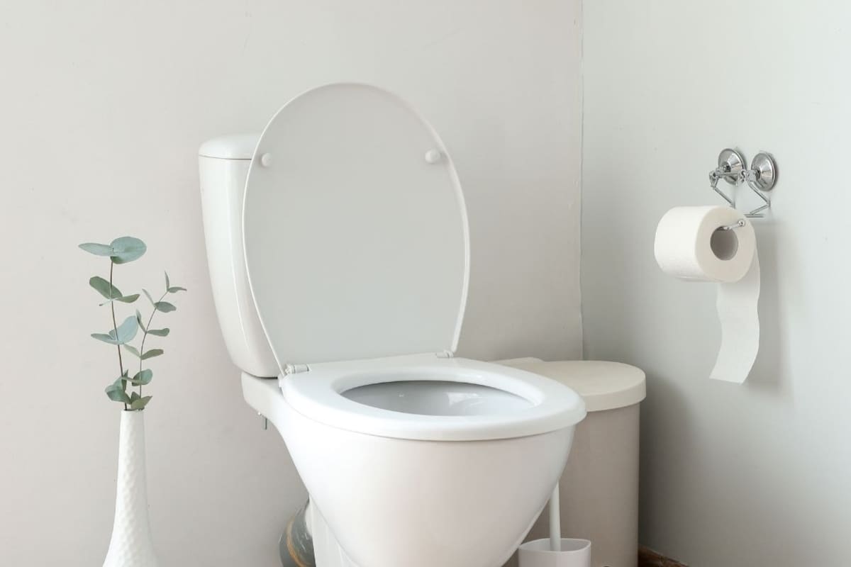 ¿Cerrada o abierta? Muchos no lo saben, pero la tapa del inodoro en el baño debe permanecer en esta posición, según especialistas