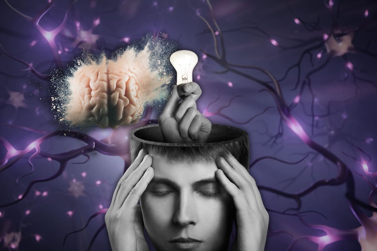 Investigadores descubrieron cómo el hipocampo clasifica los recuerdos por categorías y probaron que es posible leer la mente mediante de señales neuronales en tiempo real