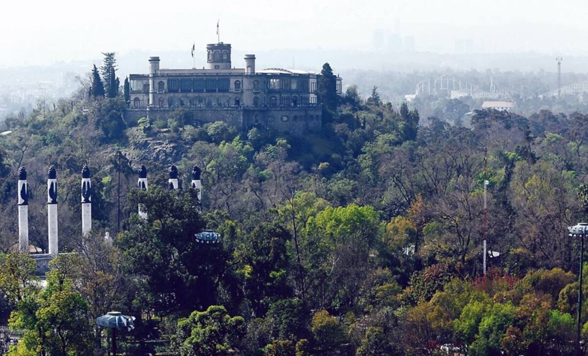 Bosque de Chapultepec. / El universal.