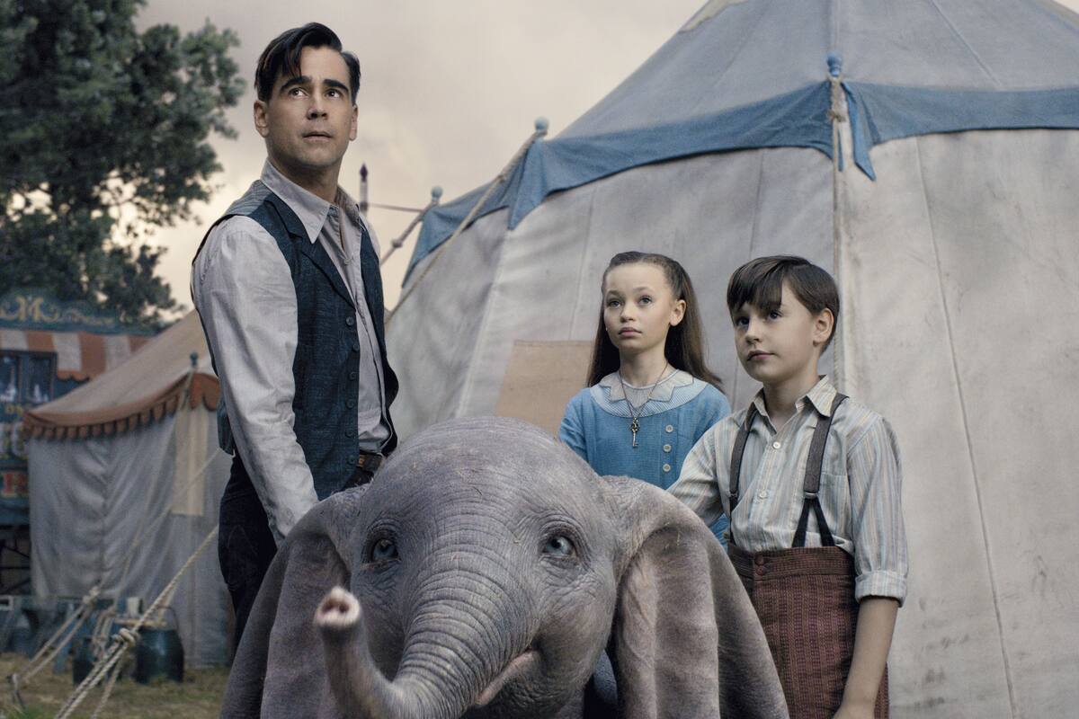 Clásico de disney, “Dumbo” en acción real, es la segunda proyección del cine club de la SC en Tijuana