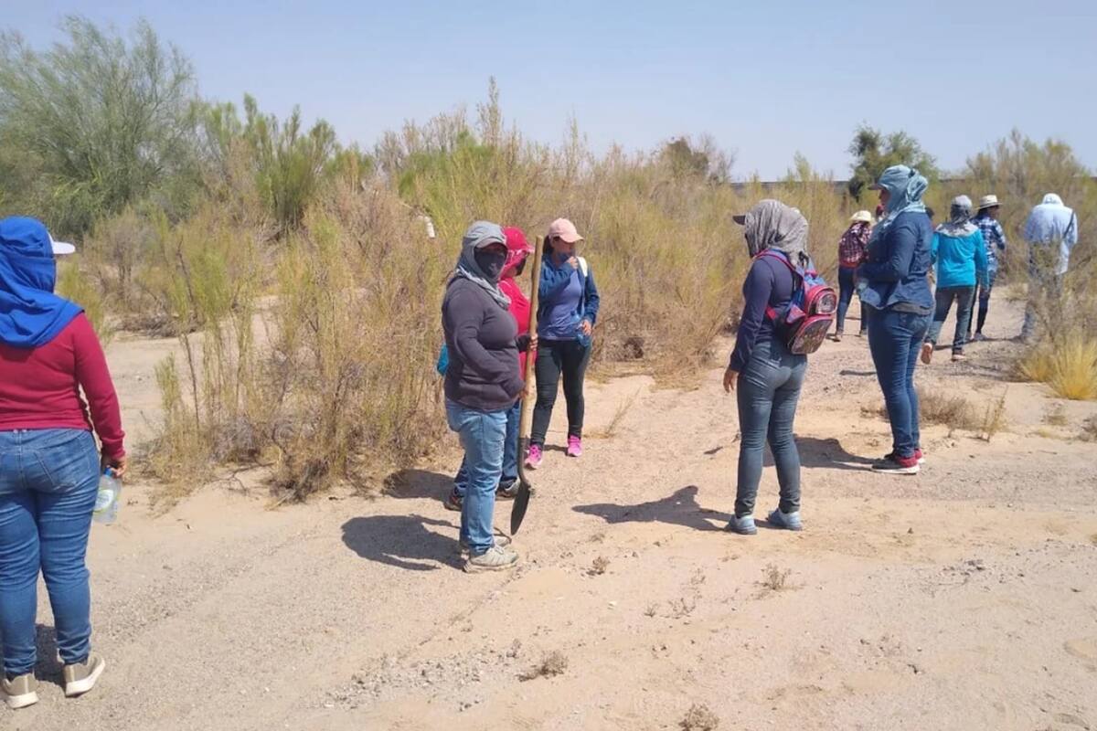 Madre dice que halló el cuerpo de su hijo en una fosa clandestina