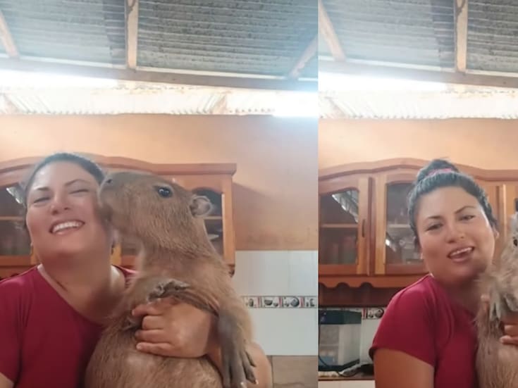 Mujer en Perú se vuelve viral por bailar alegremente con su capibara en la cocina.