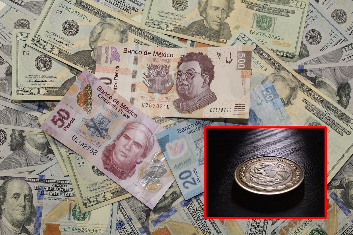 Dólar en México: ¿Cuál es el tipo de cambio en bancos hoy sábado 2 de noviembre de 2024?