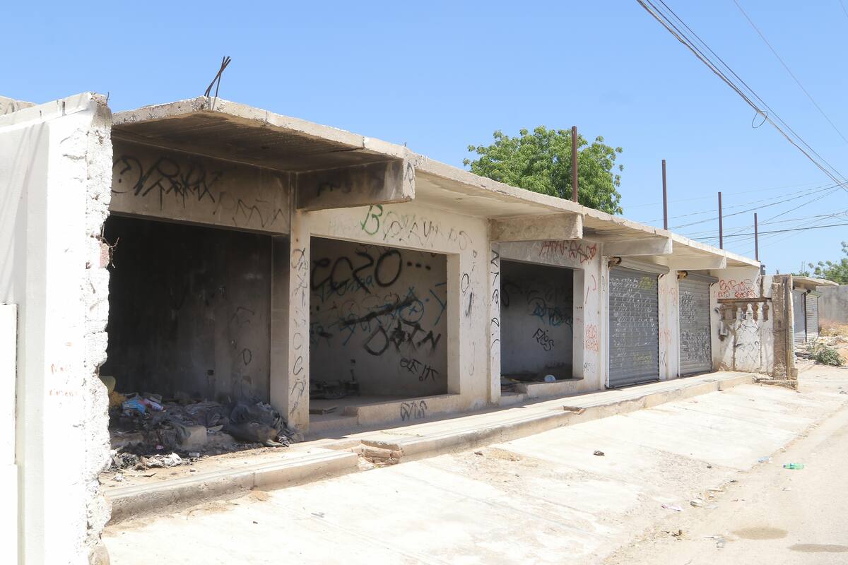 "Cochinones" se adueñan de locales abandonados