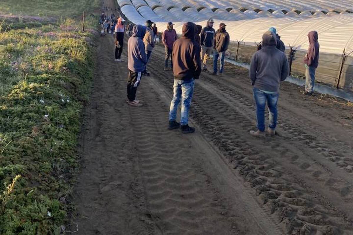 Desaprueban jornaleros jornada larga