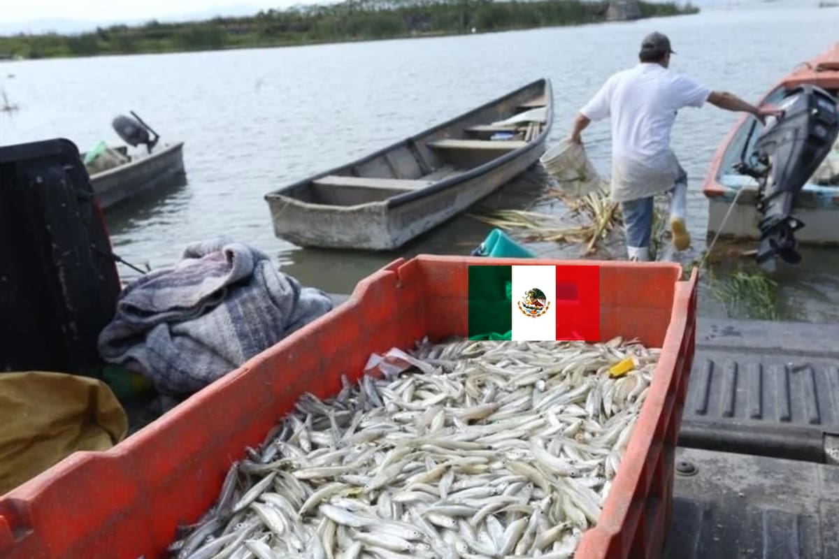 ¡EU castiga a México! Por qué prohibirá barcos mexicanos en sus puertos