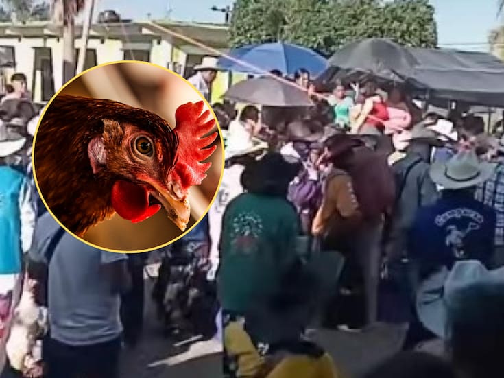 ¿Tradición o maltrato animal? Denuncian decapitación de gallinas en carnaval de Xaltepuxtla y exigen intervención de autoridades en Puebla