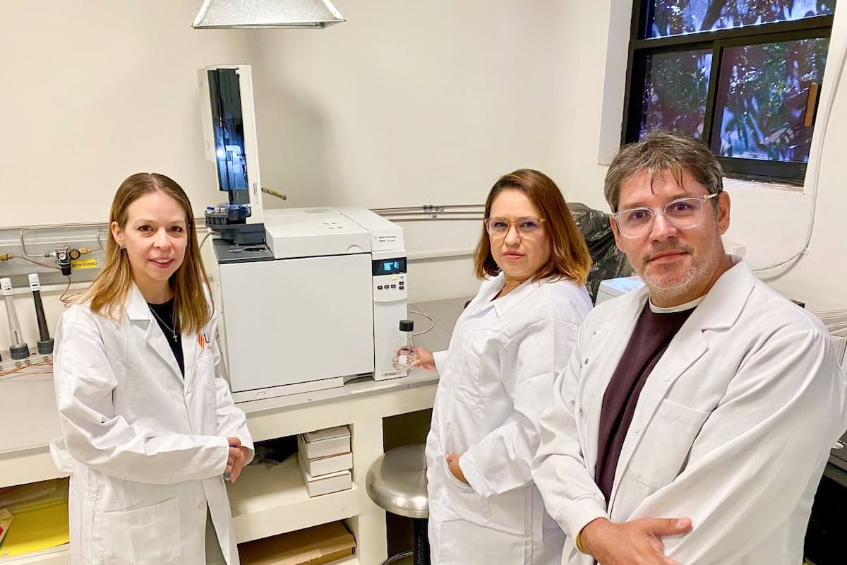 Estudiantes de la UES investigarán el impacto de los microplásticos en el Golfo de California