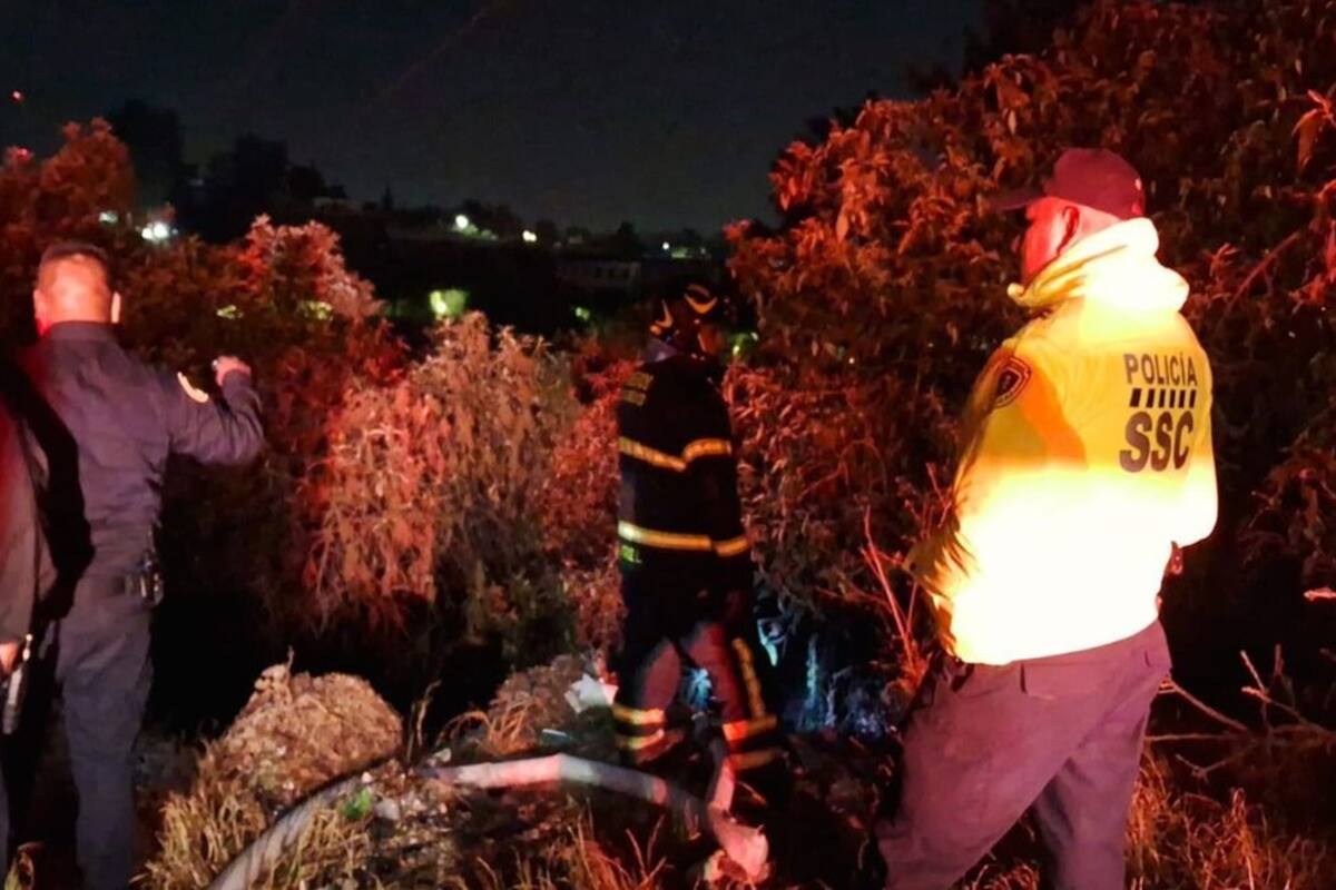 Bomberos de la CDMX sofocan incendio en bosque de Chapultepec