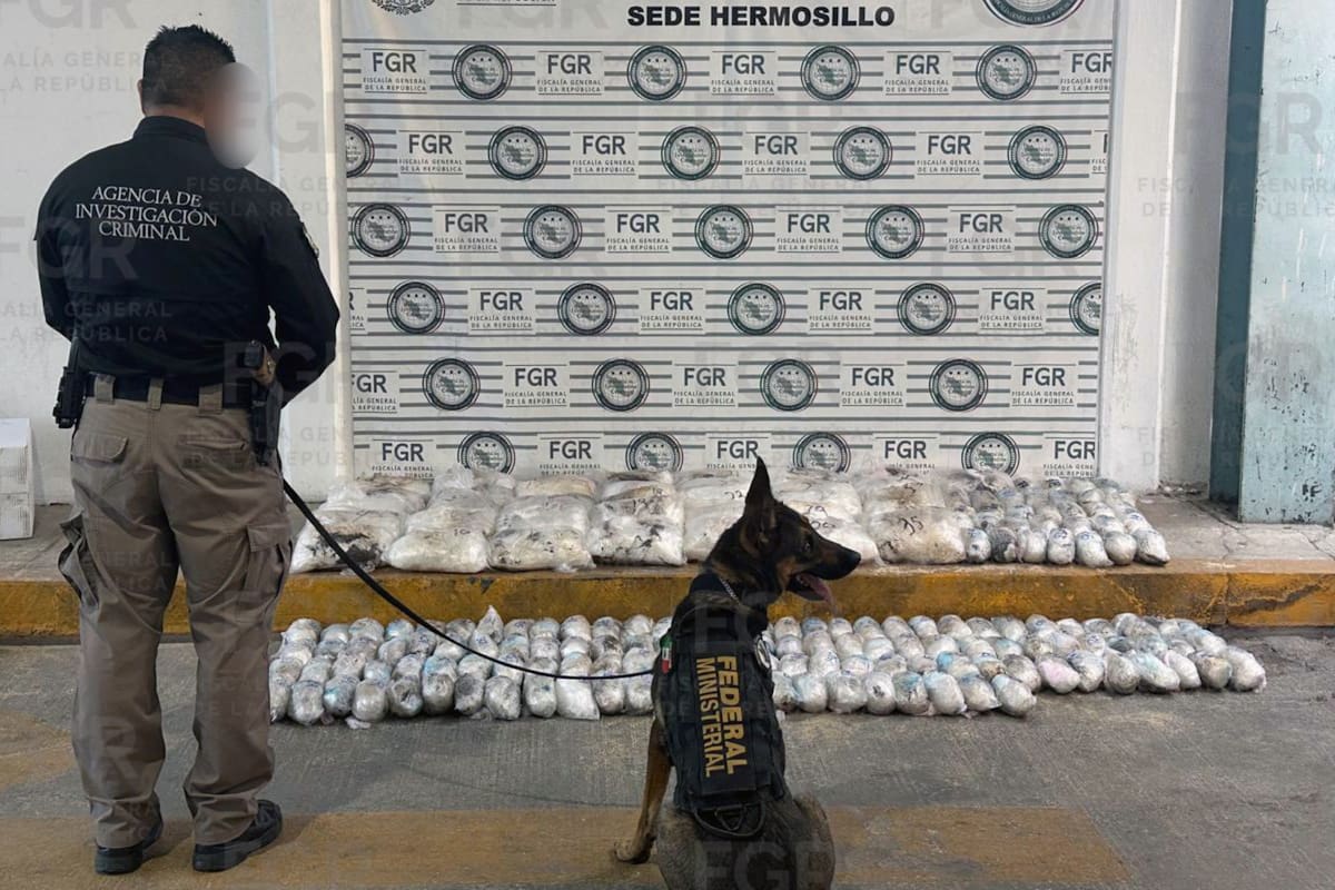 Aseguran más de 145 kilos de metanfetamina en empresa de paquetería en Hermosillo; su destino era la ciudad de Tijuana
