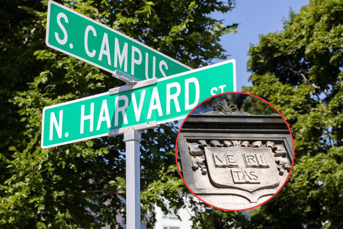 Harvard acuerda reforzar protecciones contra el antisemitismo en el campus