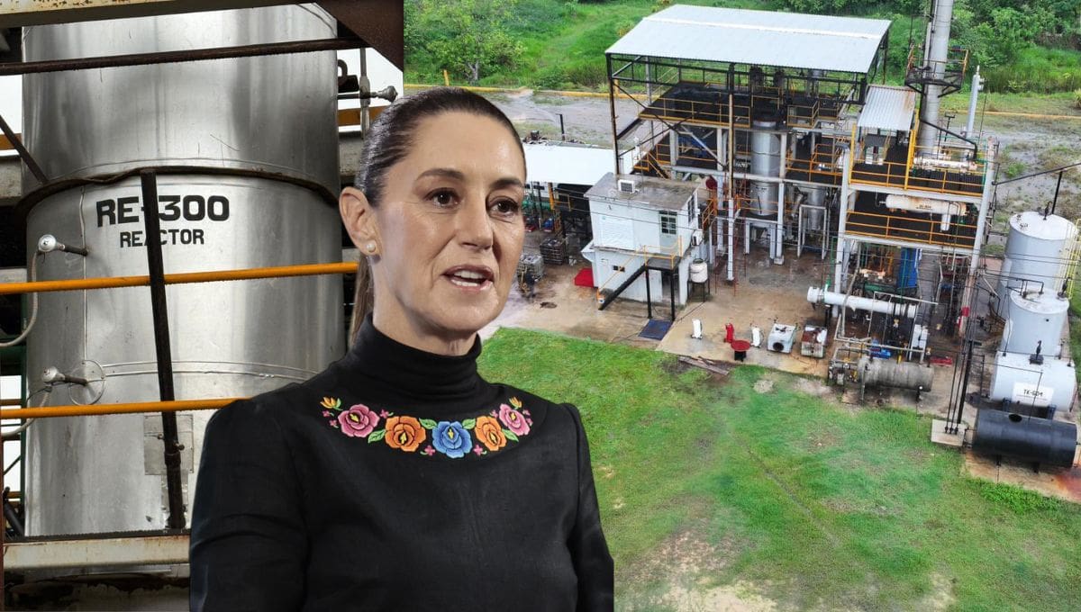 Tras el hallazgo de una refinería clandestina en Coatzacoalcos, Claudia Sheinbaum afirmó que no habrá impunidad para ningún implicado. La investigación podría alcanzar a empleados de Pemex por su posible participación en la operación ilegal.