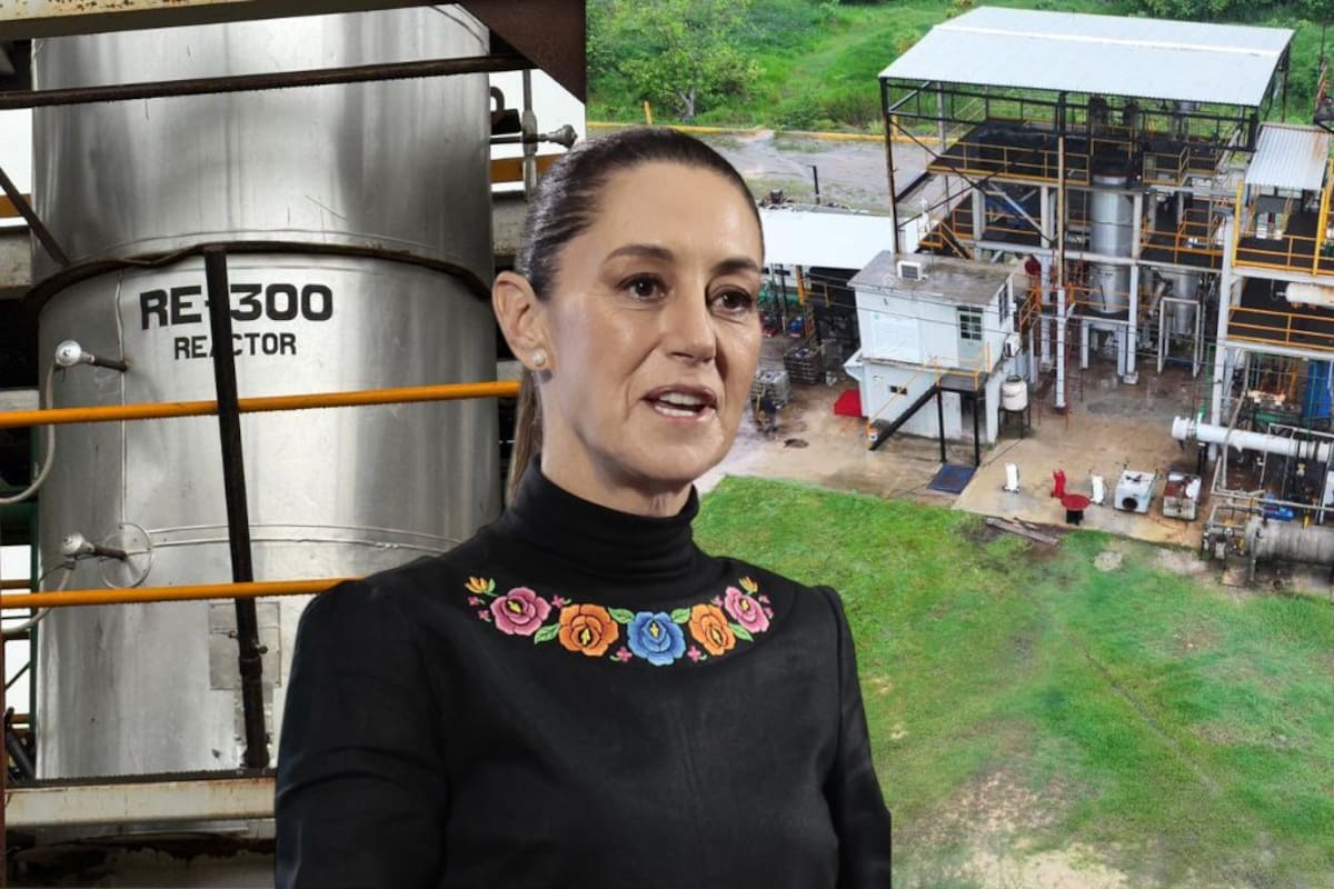 Sheinbaum promete cero impunidad tras hallazgo de refinería clandestina en Veracruz: “No vamos a proteger a nadie”; fue cuestionada por posible implicación de funcionarios de Pemex