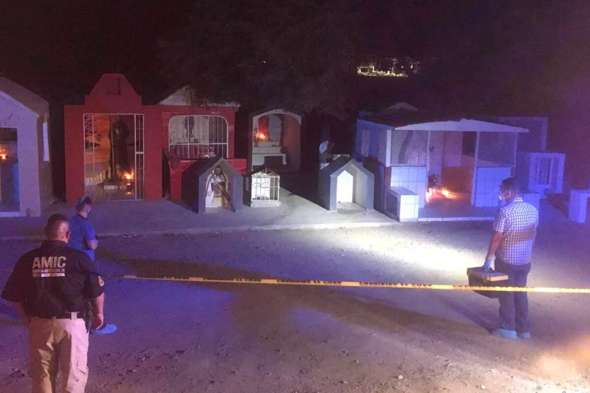 Dejan cuerpo sin vida colgado en un árbol en Nogales