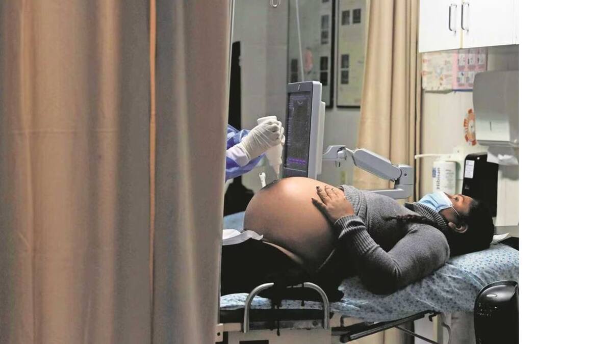 Avances y obstáculos en el Senado ante la eliminación de la violencia obstétrica