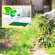 Cómo utilizar el jabón líquido para eliminar las malas hierbas sin esfuerzo y sin dañar el jardín