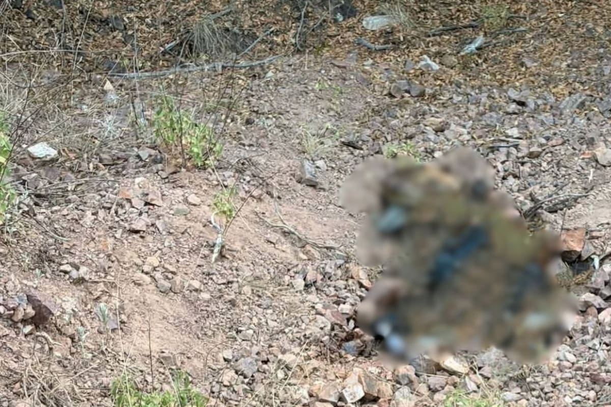Localizan a persona sin vida al surponiente de Nogales; el cuerpo se encontraba con las manos atadas y en avanzado estado de descomposición
