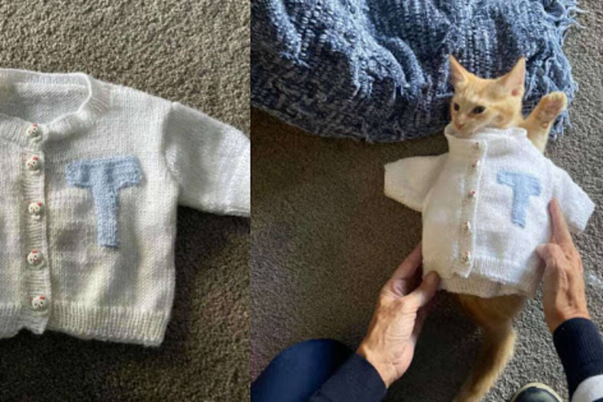 Mujer no para de tejer ropa para su "nieto gatuno" de tres meses