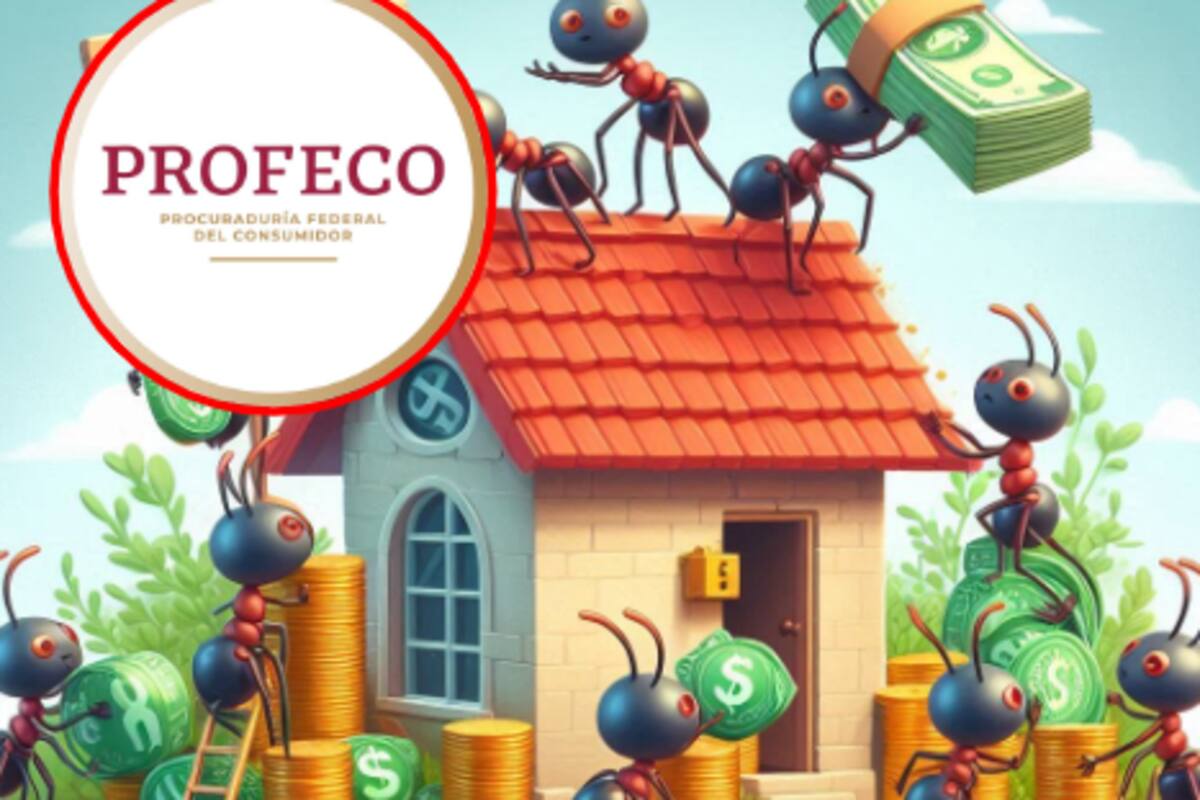Gastos hormiga: cómo vacían tu bolsillo y las recomendaciones de Profeco para controlarlos