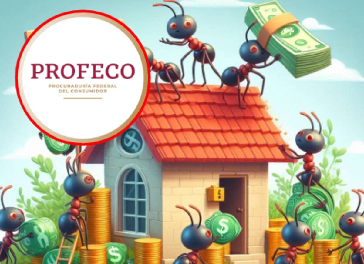 Aunque los gastos hormiga parecen indefensos, pueden causar serios daños a las finanzas personales