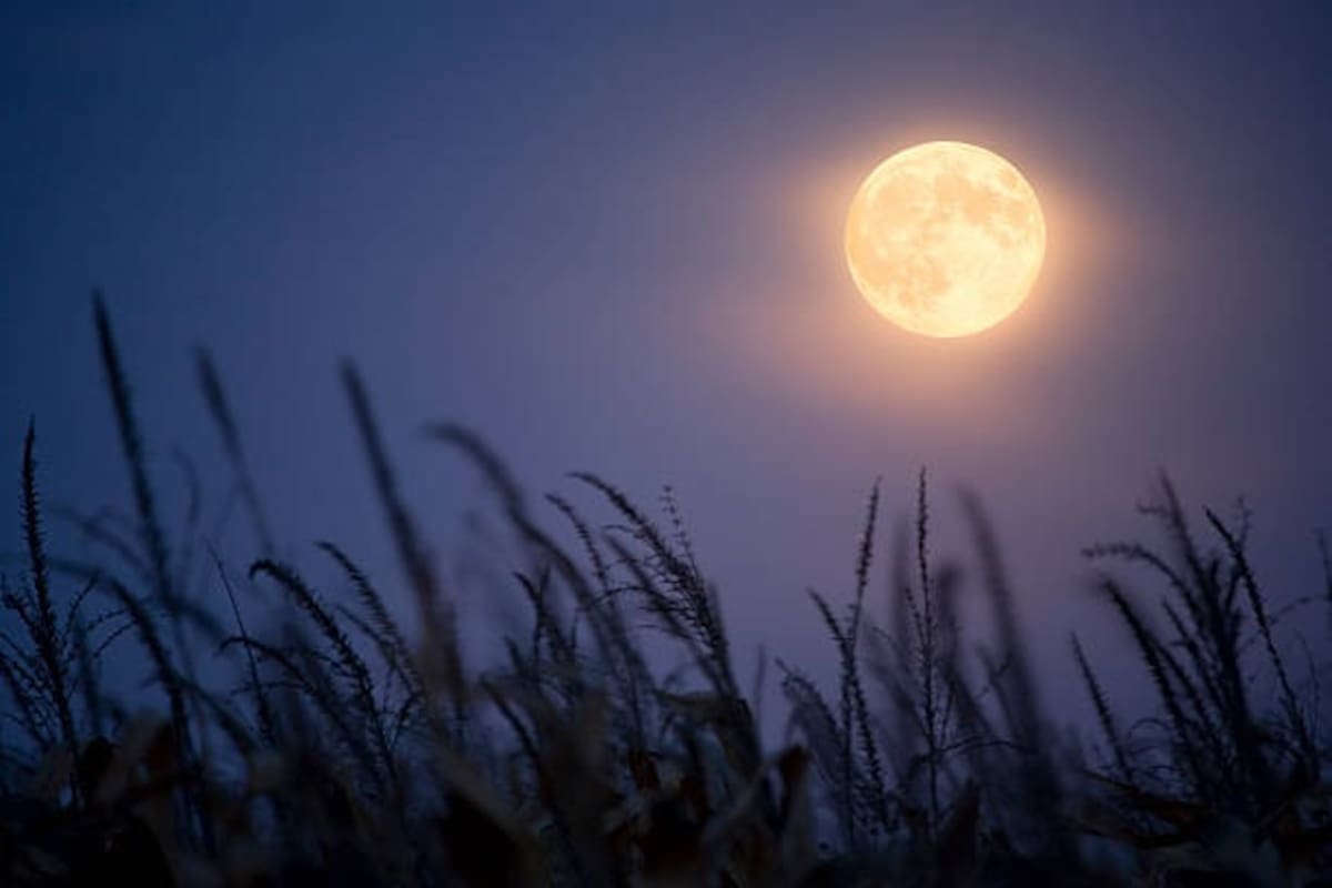 Cielo de octubre: un espectáculo astronómico imperdible