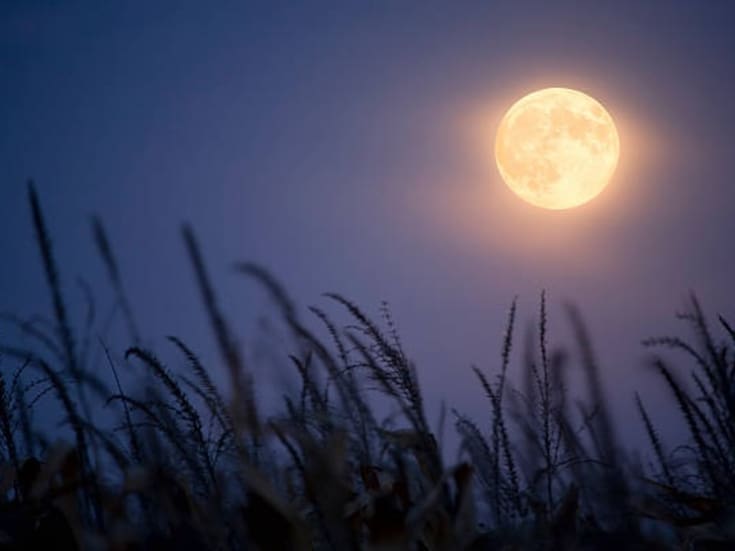 Cielo de octubre: un espectáculo astronómico imperdible