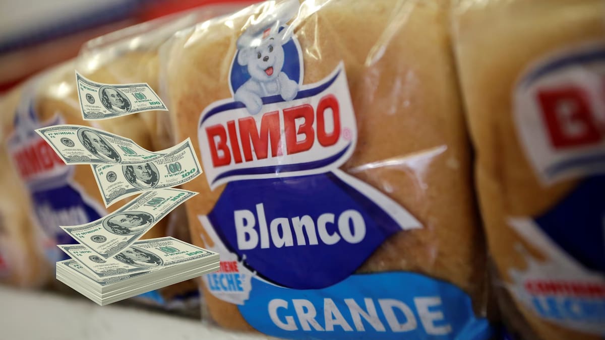 Grupo Bimbo confirma una inversión histórica de mil millones de dólares en Estados Unidos tras el éxito de sus ventas en 2026 para renovar sus productos y apostar por alimentos más saludables en el mercado norteamericano que ya representa casi la mitad de sus ingresos globales este año