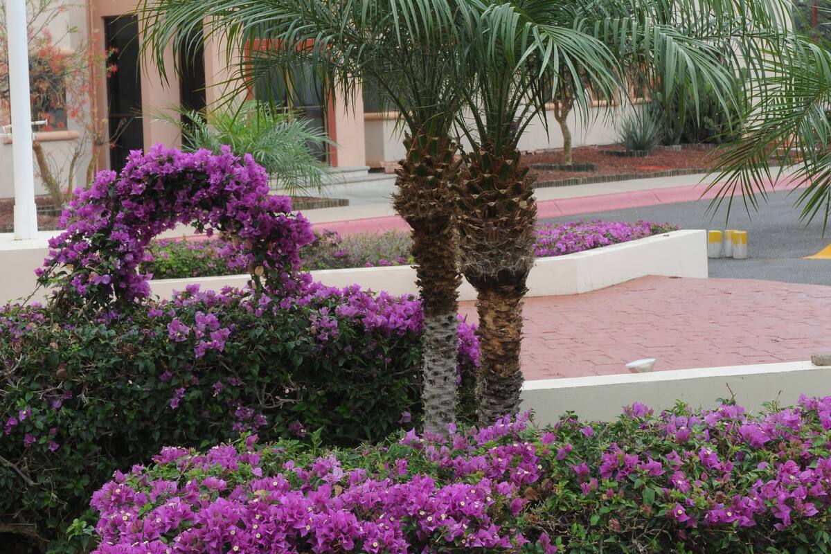 Colabora CIAD con universidad del Reino Unido