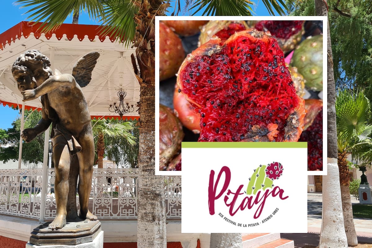 Festival de la Pitaya en Ures: Desde hoy hasta el domingo 13 de julio expondrán la importancia de este fruto del desierto